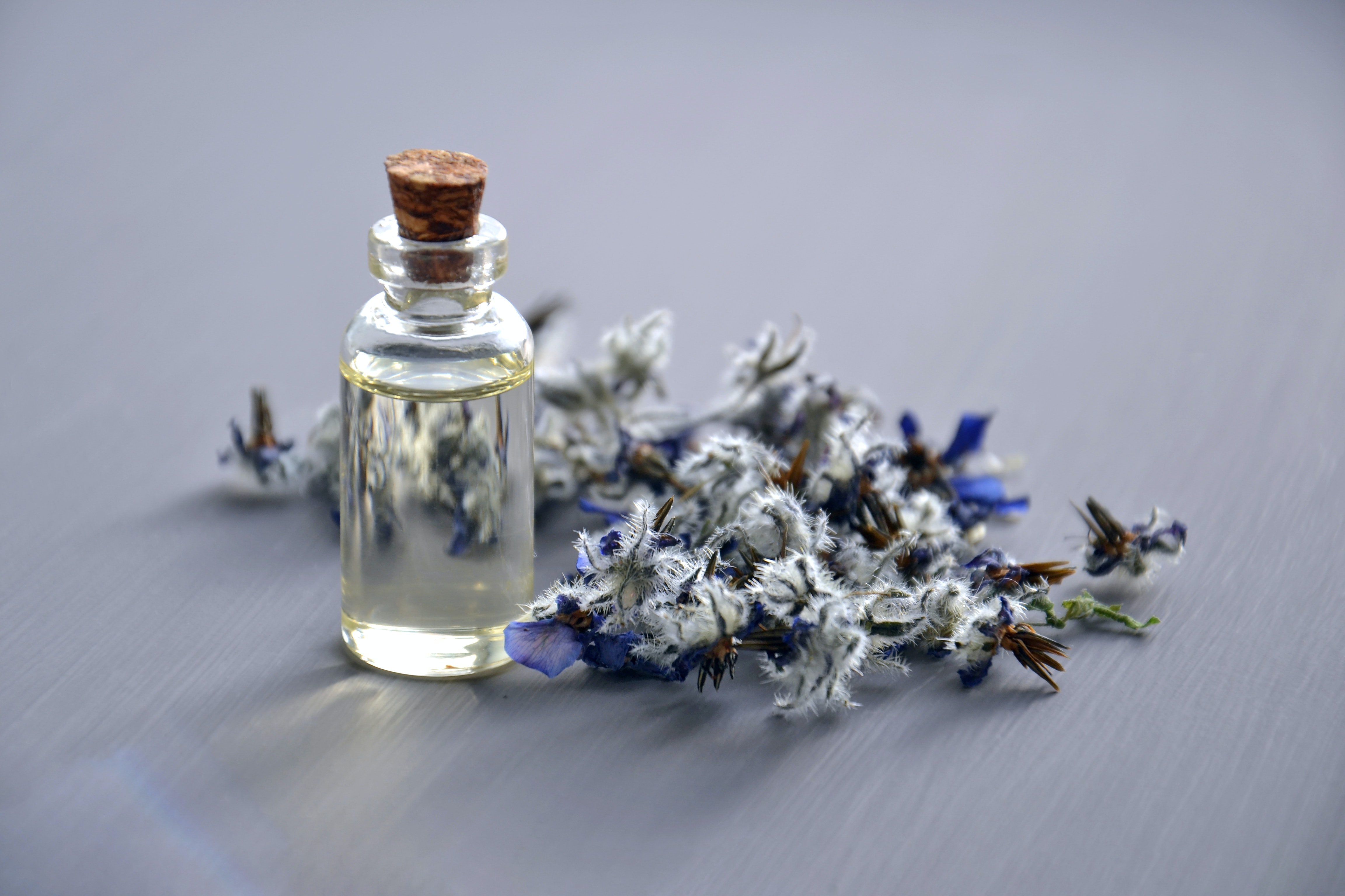 Aromaterapia: os benefícios da Lavanda - por: Maria Fernanda Novelli